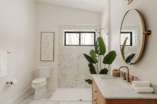Modern bathroom renovation with marble accents